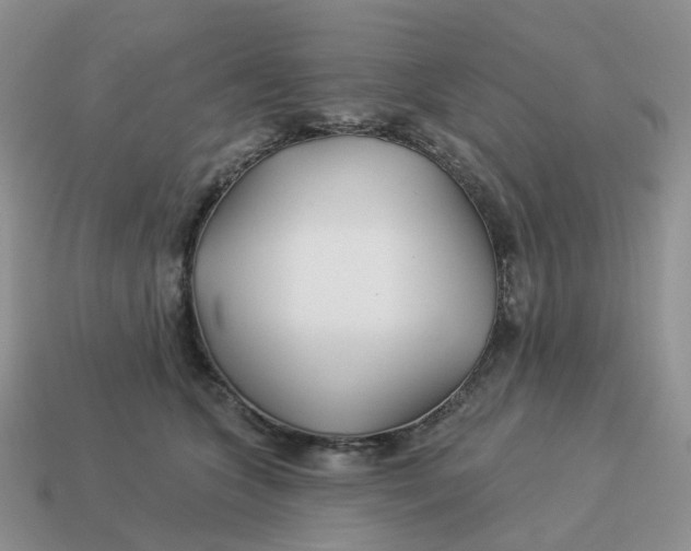 X0000114510563200911091132