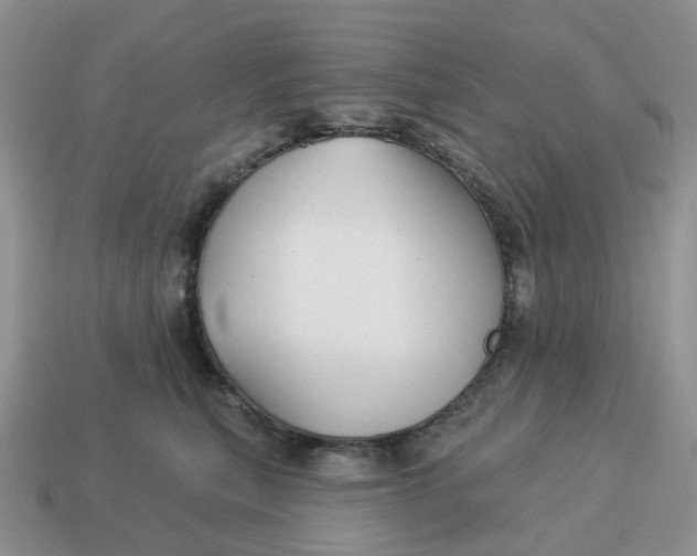 X0000114510567200911091132