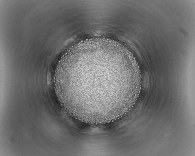 X0000114510569200911091132