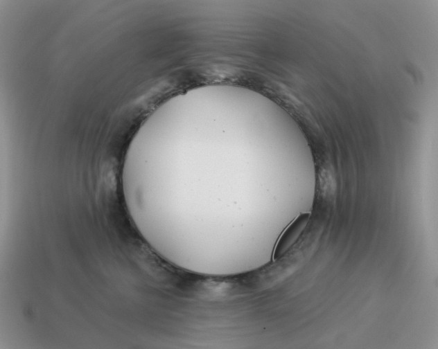 X0000114510570200911091132