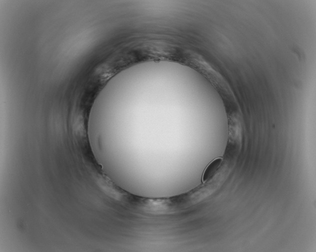 X0000114510573200911091132