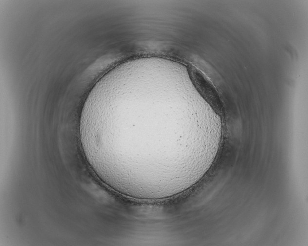 X0000114510577200911091132