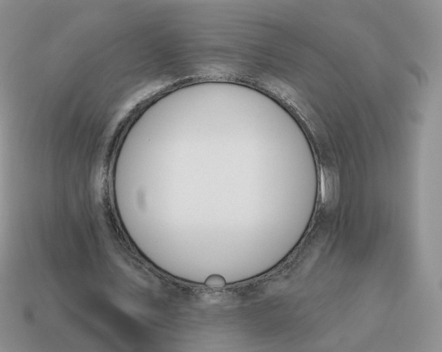 X0000114510579200911091132