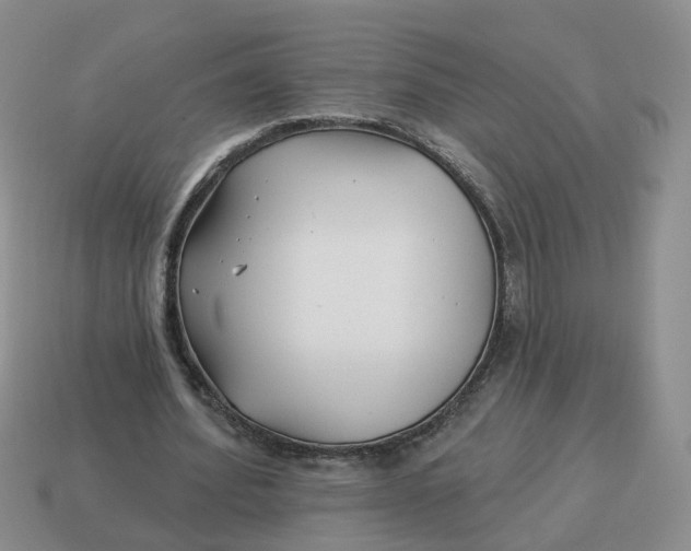 X0000114510580200911091132