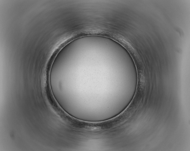 X0000114510582200911091132