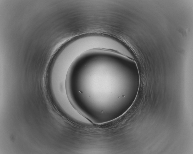 X0000114510583200911091132