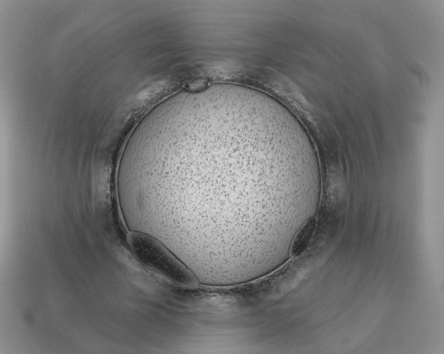 X0000114510585200911091132