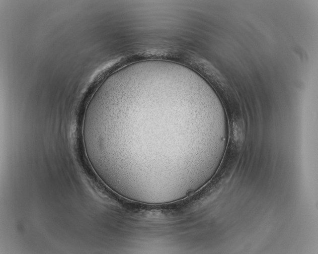 X0000114510588200911091131