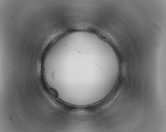 X0000114510589200911091131