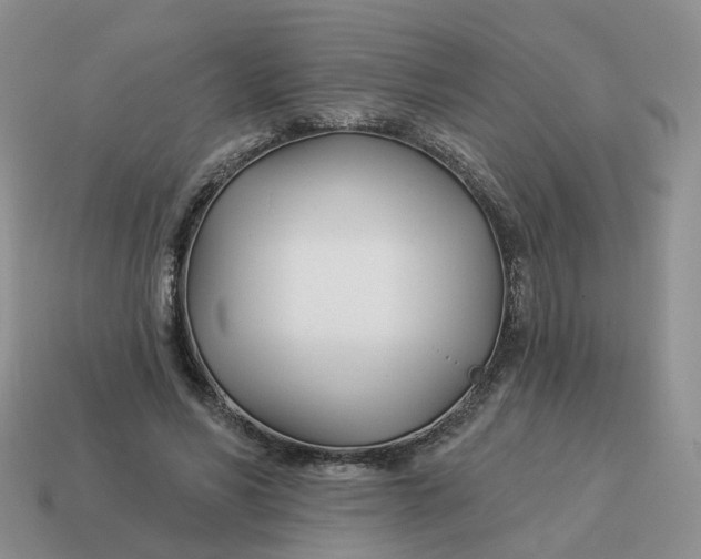 X0000114510590200911091131