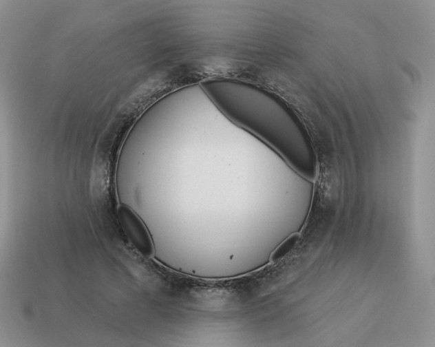 X0000114510593200911091131