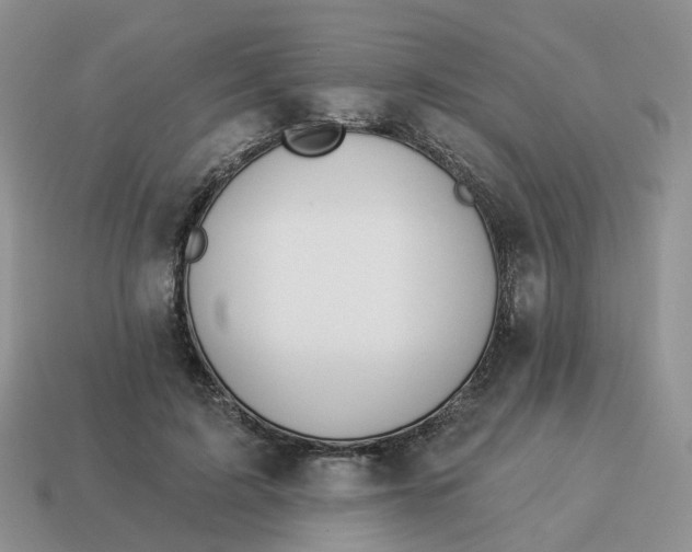 X0000114510595200911091131