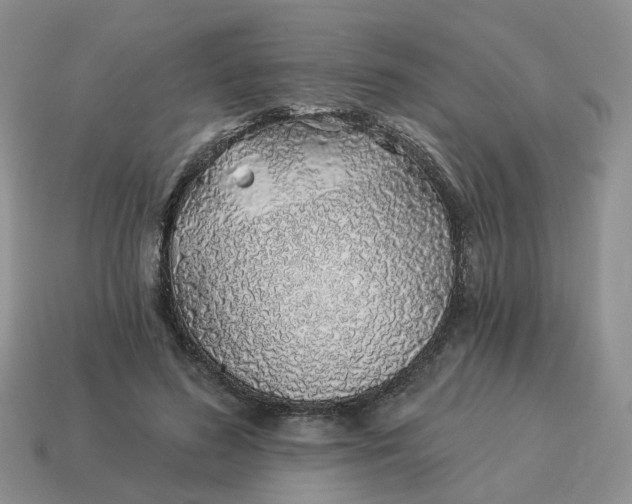 X0000114510596200911091131