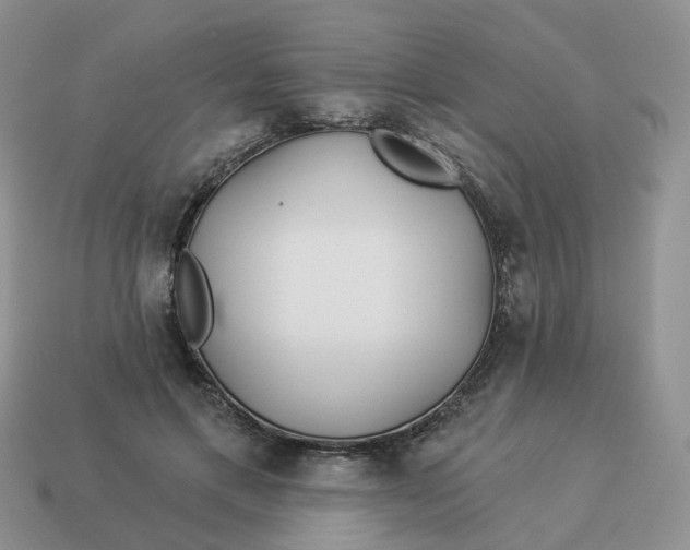 X0000114510597200911091131