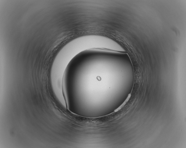 X0000114510599200911091131