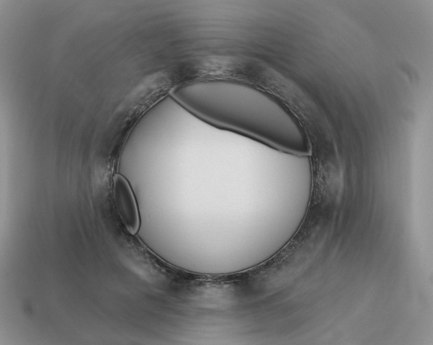 X0000114510601200911091131