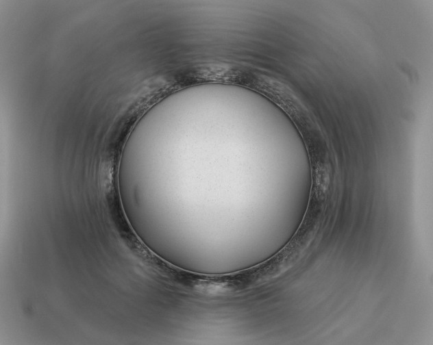 X0000114510602200911091131