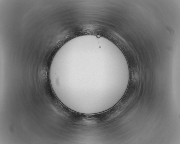 X0000114510603200911091131