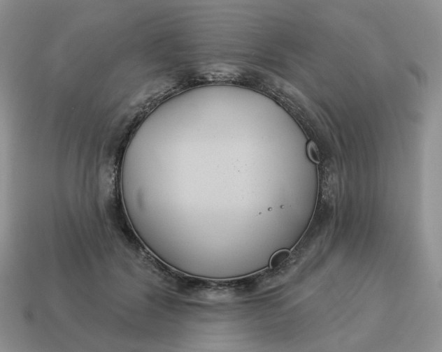 X0000114510604200911091131