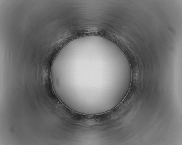 X0000114510608200911091131