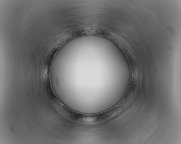 X0000114510610200911091131