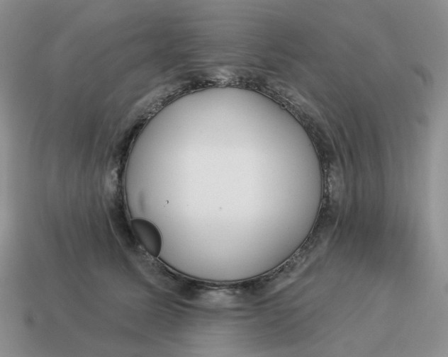 X0000114510611200911091131