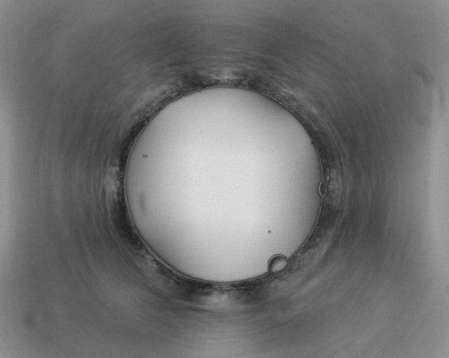 X0000114510612200911091131