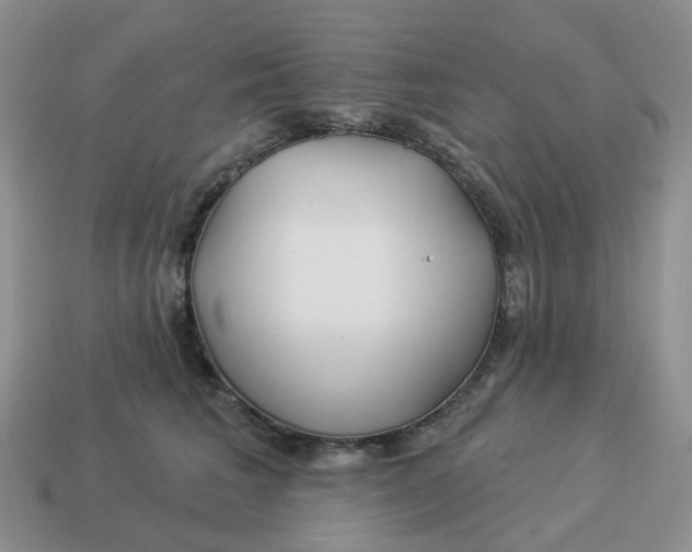 X0000114510613200911091131