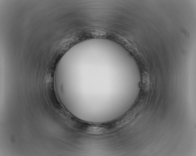 X0000114510614200911091131