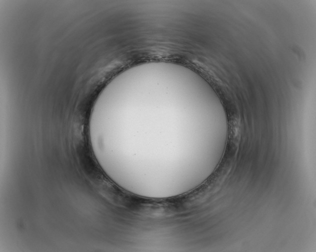 X0000114510615200911091131