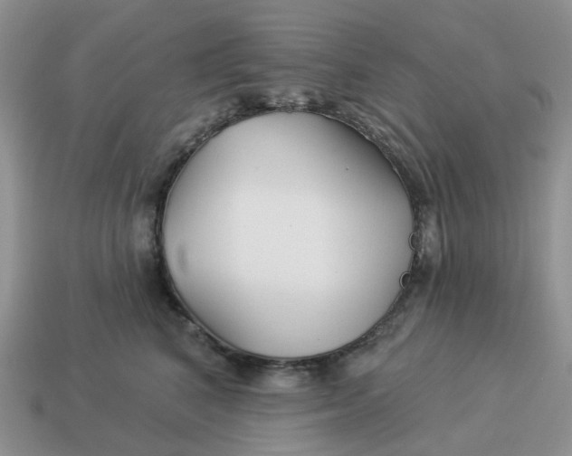 X0000114510616200911091131