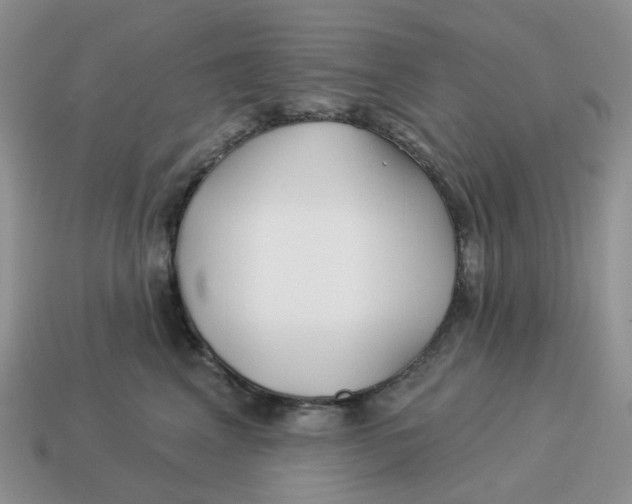 X0000114510617200911091131