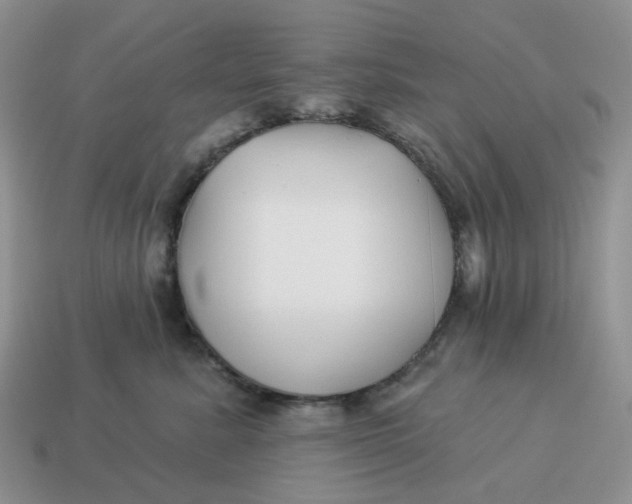 X0000114510619200911091131