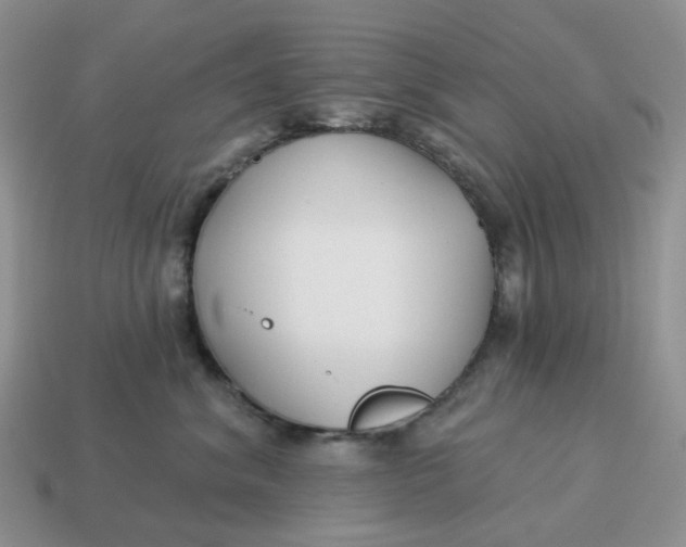 X0000114510620200911091131