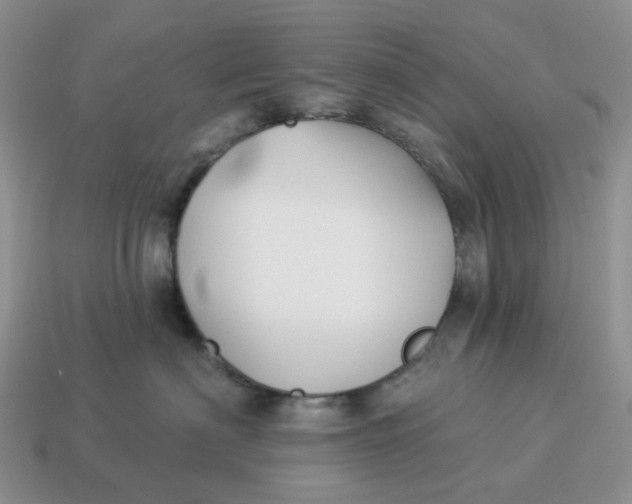 X0000114510622200911091131