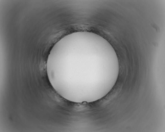 X0000114510624200911091131