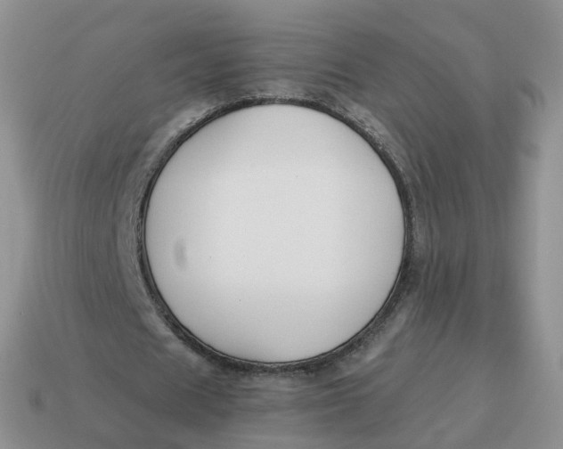 X0000114510625200911091130