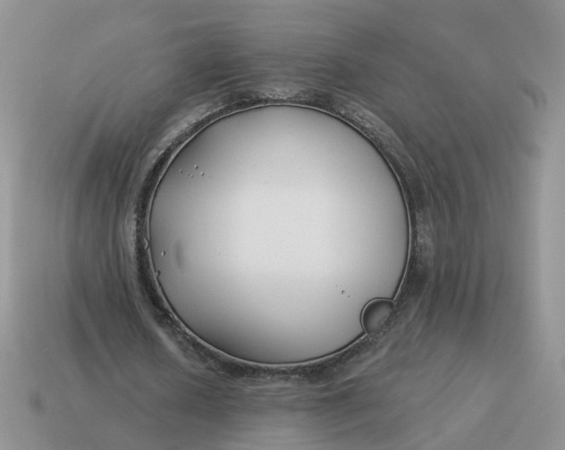 X0000114510626200911091130