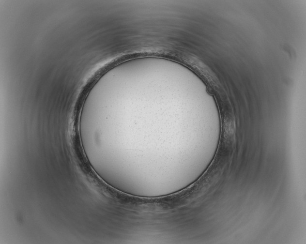 X0000114510628200911091130