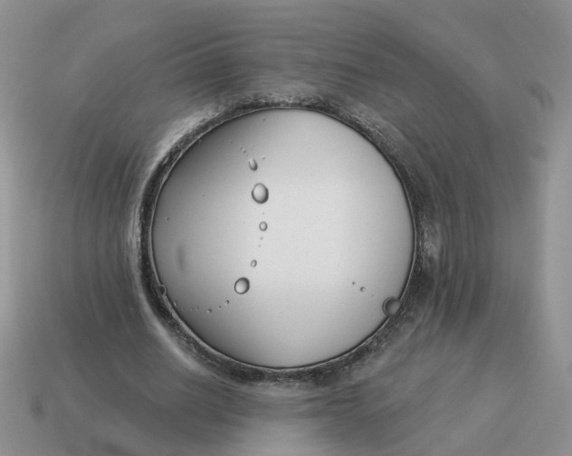 X0000114510630200911091130