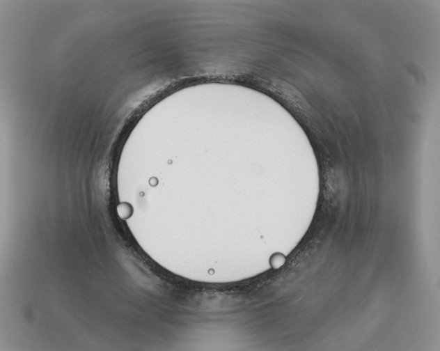 X0000114510632200911091130