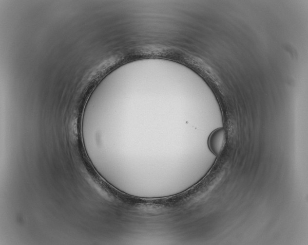 X0000114510633200911091130