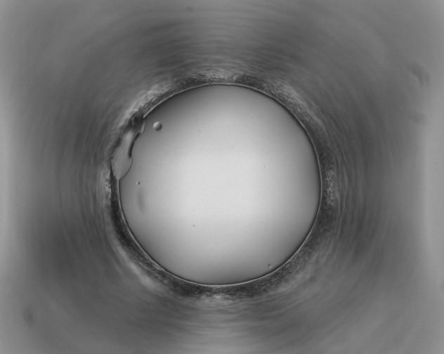 X0000114510634200911091131