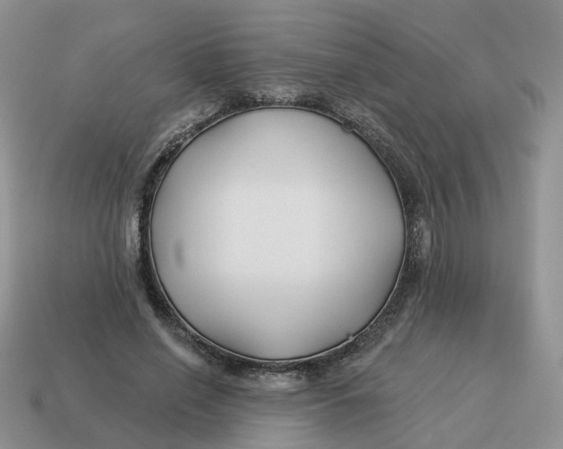 X0000114510638200911091131