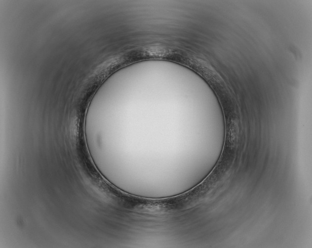 X0000114510639200911091131