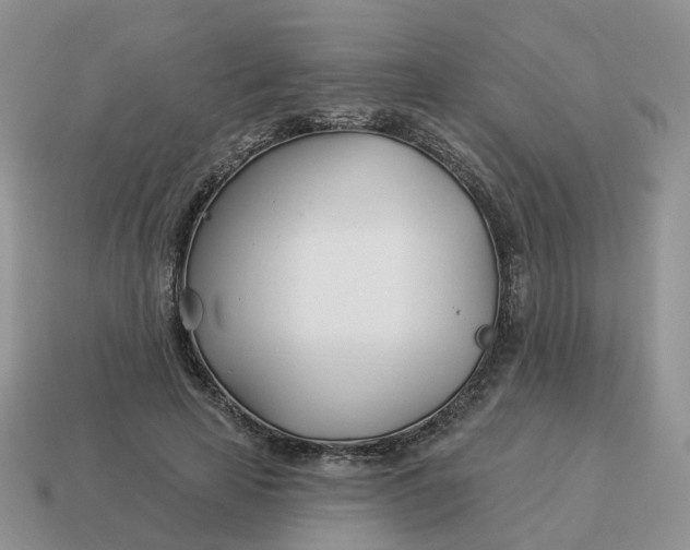 X0000114510641200911091131