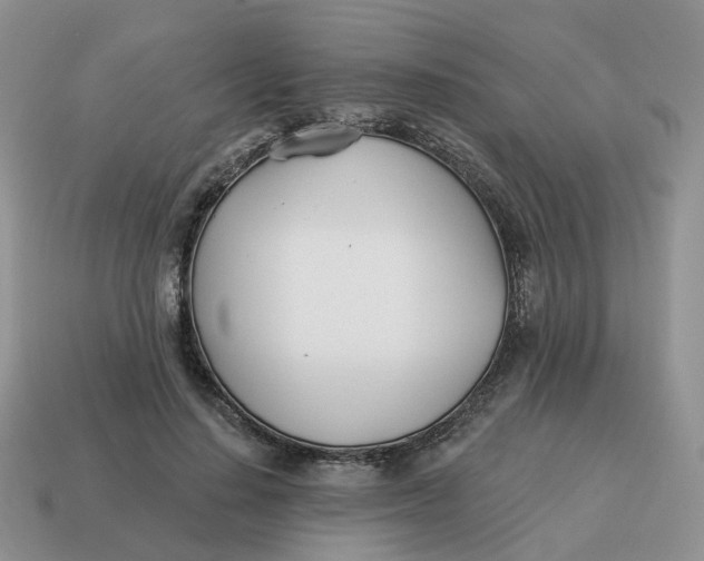 X0000114510644200911091131