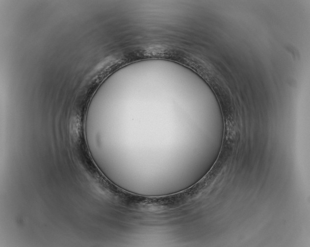 X0000114510648200911091131