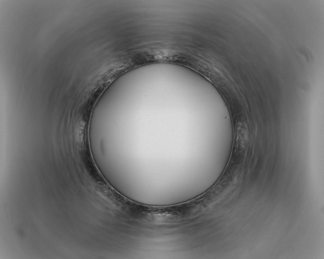 X0000114510650200911091131