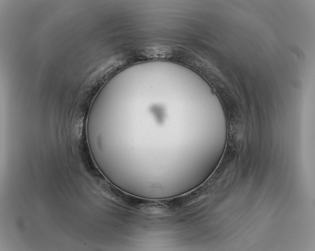 X0000114510652200911091131